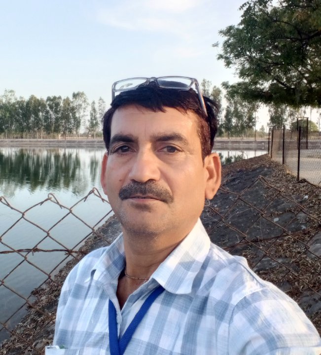 अमरेश त्रिपाठी पत्रकार