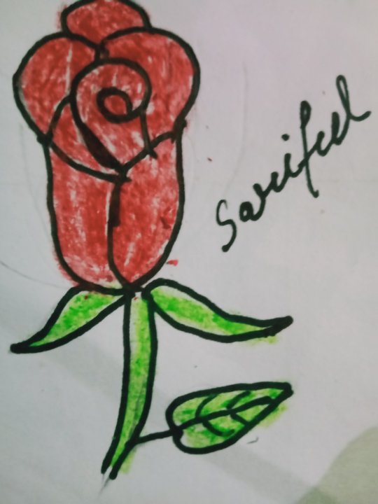 Sariful