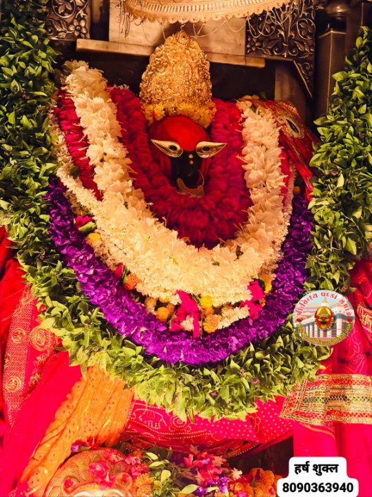 वीटी न्यूज़