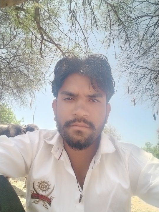 Mahendra Singh Rajput