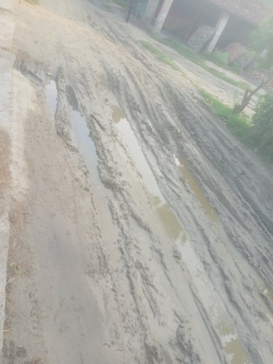 आम जनता