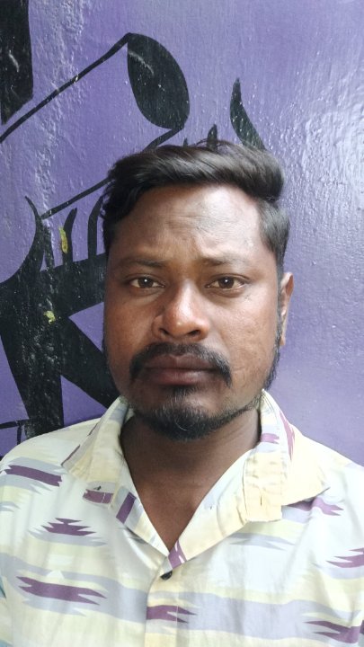 Mr Dilesh Rout