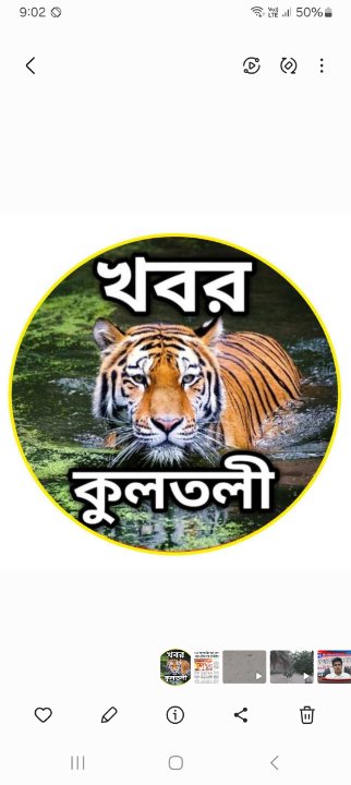 খবর কুলতলী