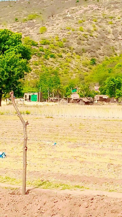 Sonu Kushwah