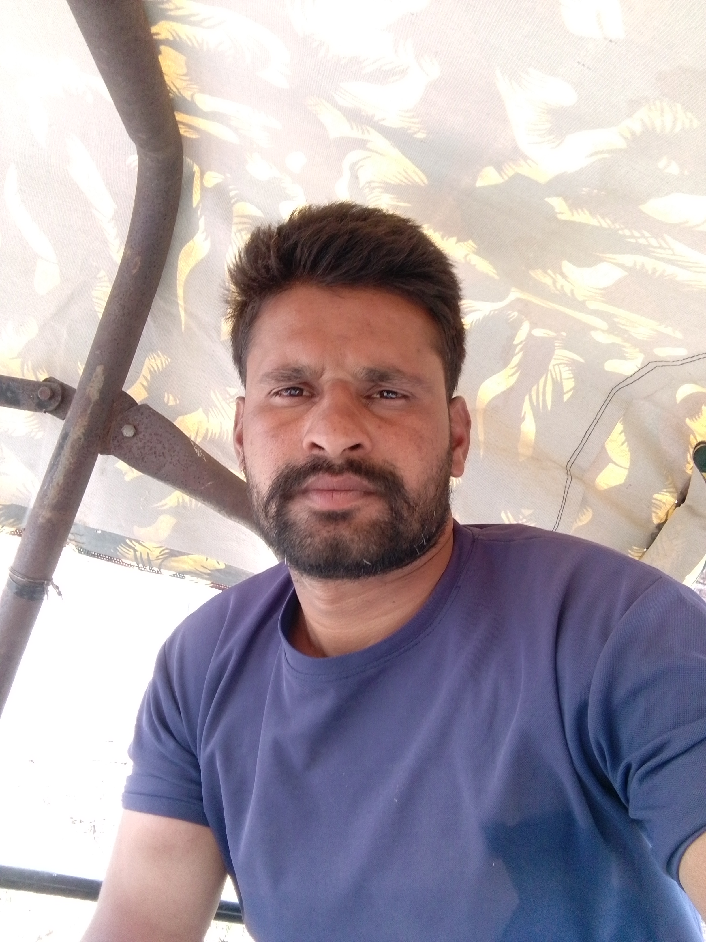 Shivpalsingh 