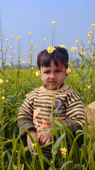 Imran Alam