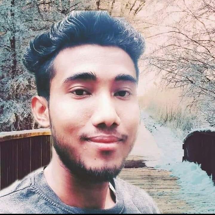 Bikash chandra ray