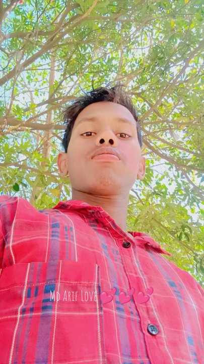 Md Arif Md Arif