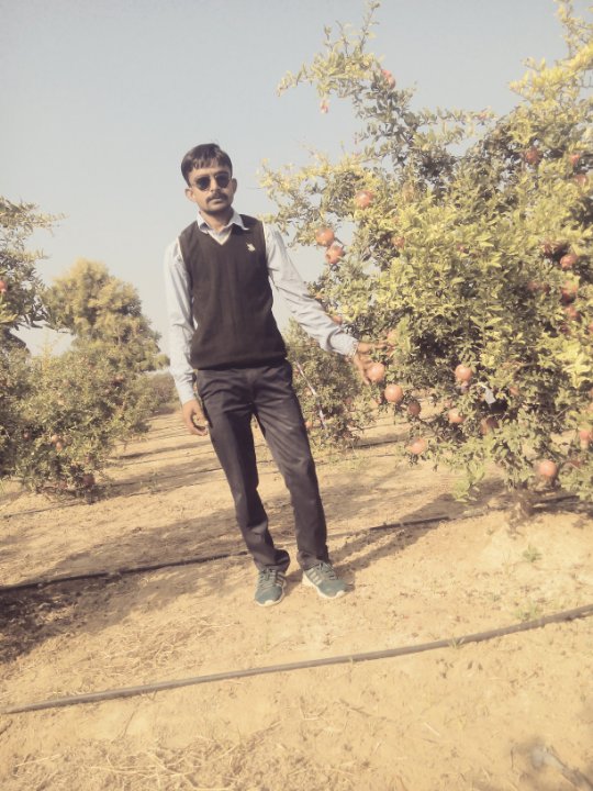 Ramesh Chaudhary