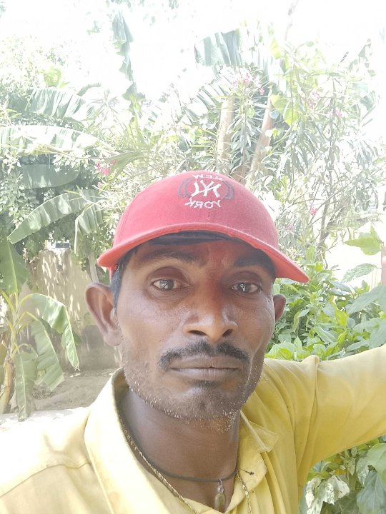 ओम प्रकाश