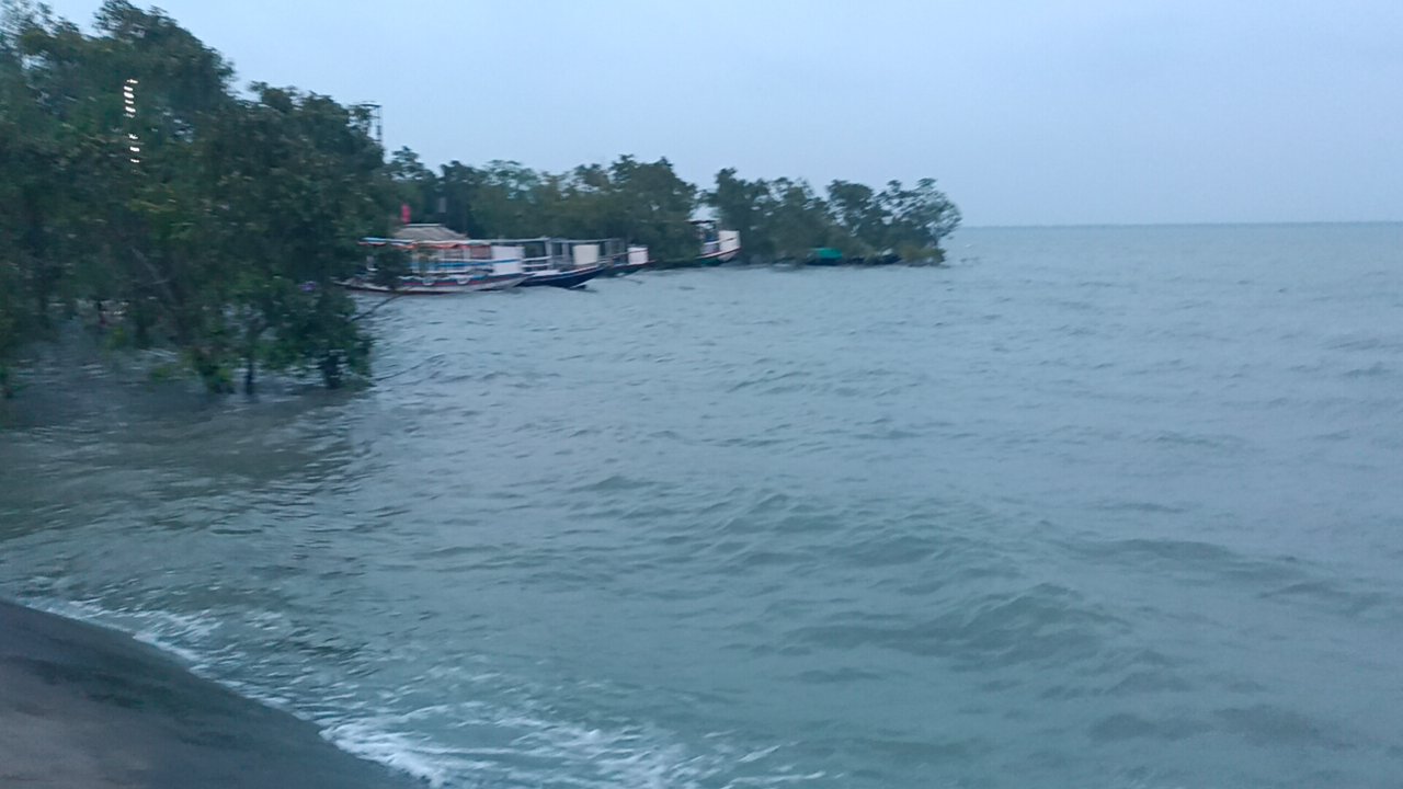 খবর জয়নগর কুলতলি