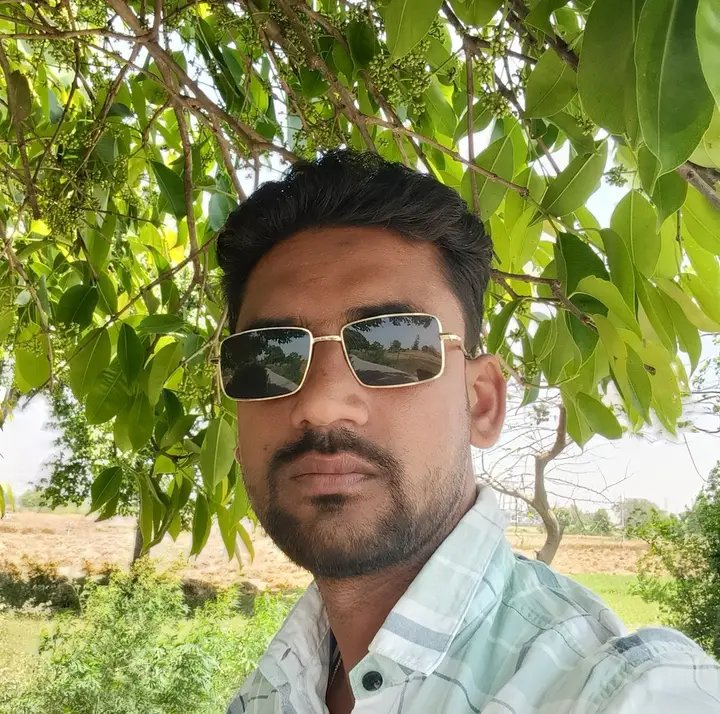 Gulfam Saifi prees repotar