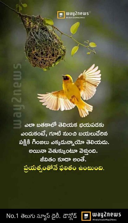 Raghu 
