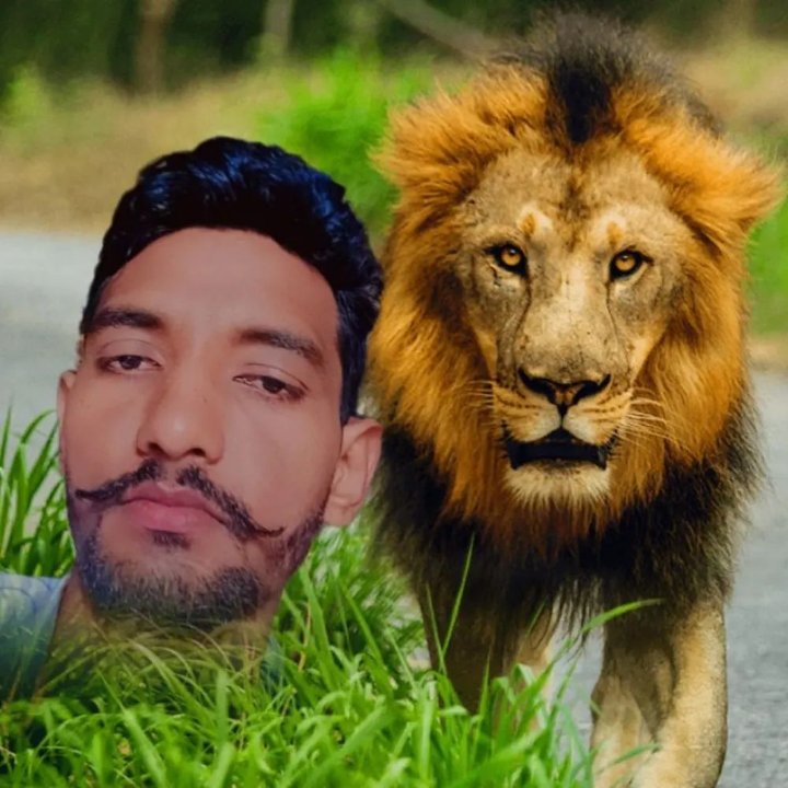 Malkit