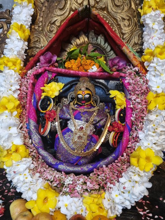 Bhumisuta Pradhan