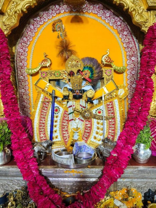 सांवरिया सेठ प्रोपर्टी