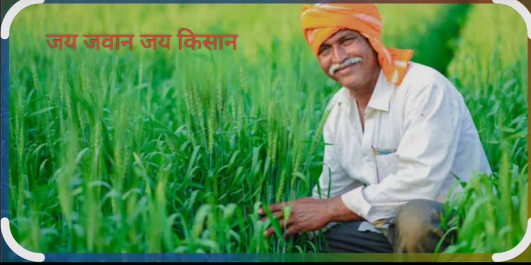 लक्ष्मी नारायण लोधी पिछोर