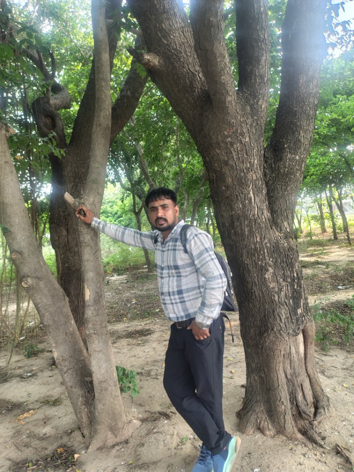 UP-23-News सच्ची खबर सबसे पहले