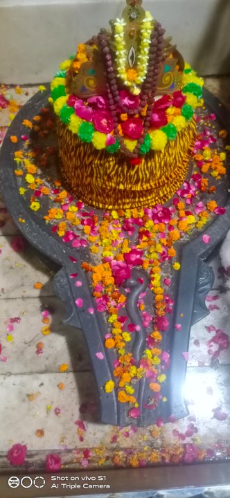 शौयँ वीर सिह