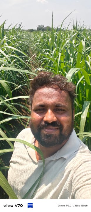Bheemaraya kuddalli