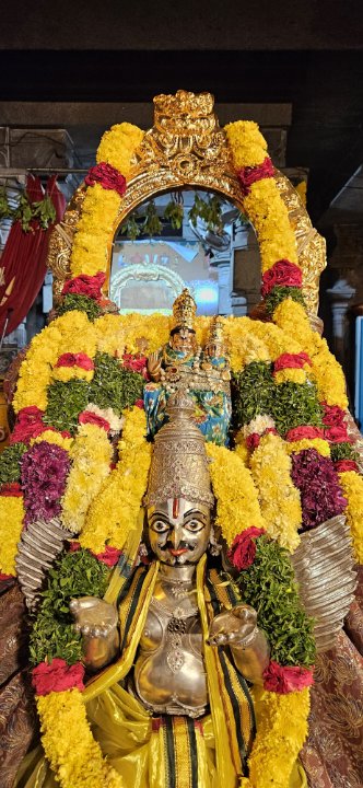 P.srinu