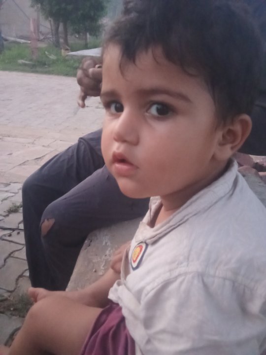 Vinod hansavat 