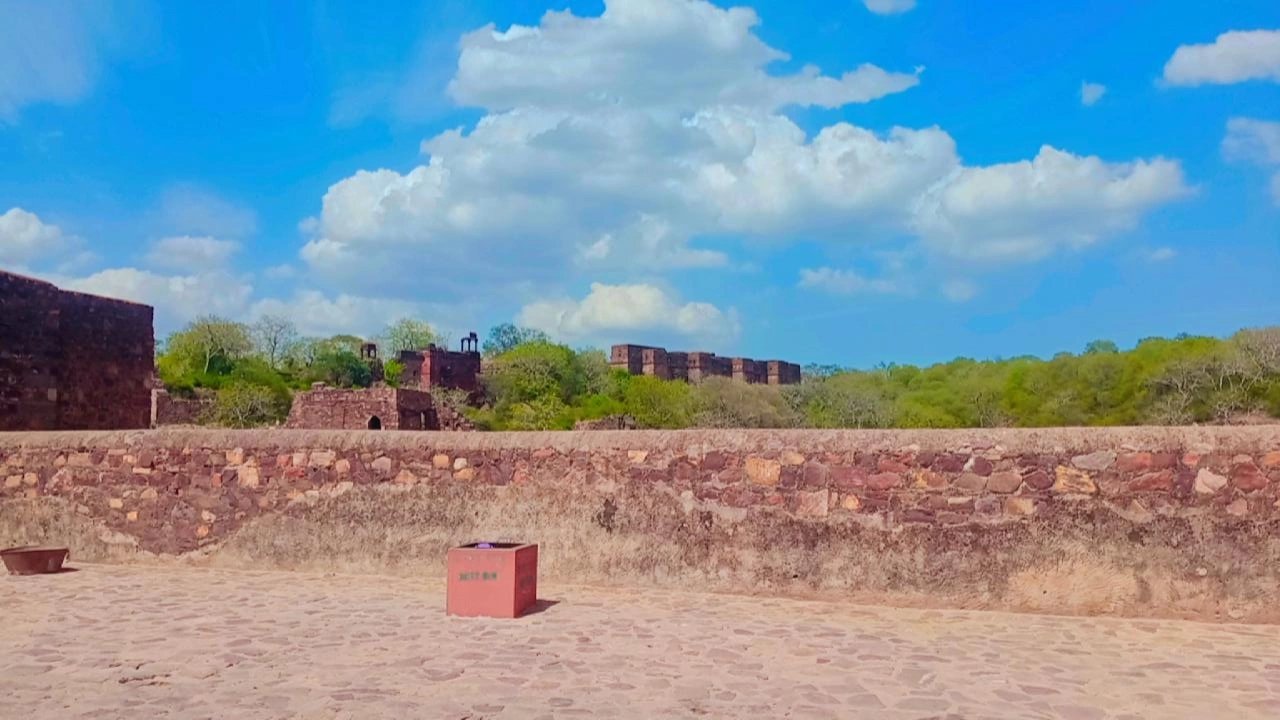 Tiger city swm