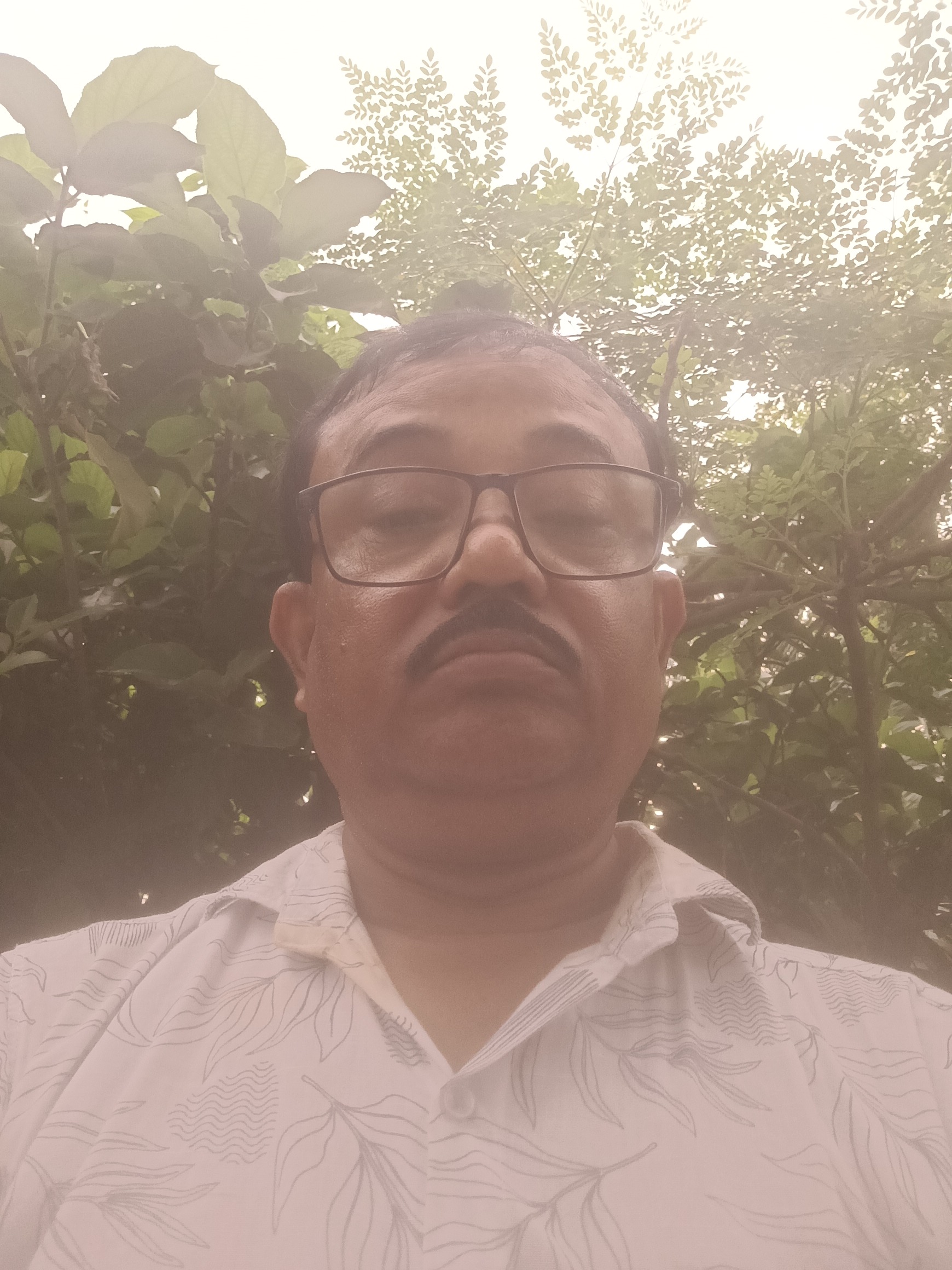Ansar Ali Mallick 