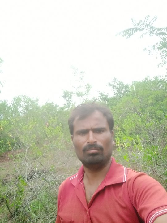 Tarakesh Shivappa Ballari