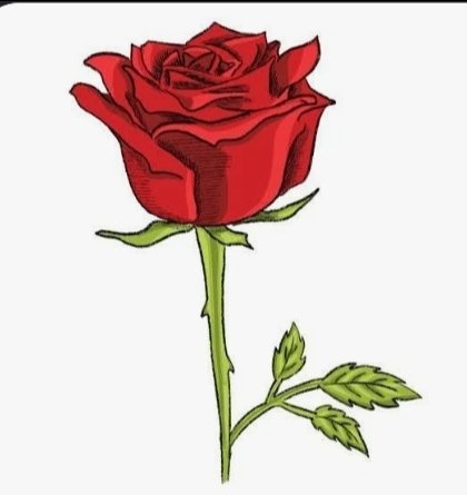 QHIRUDDIN MD