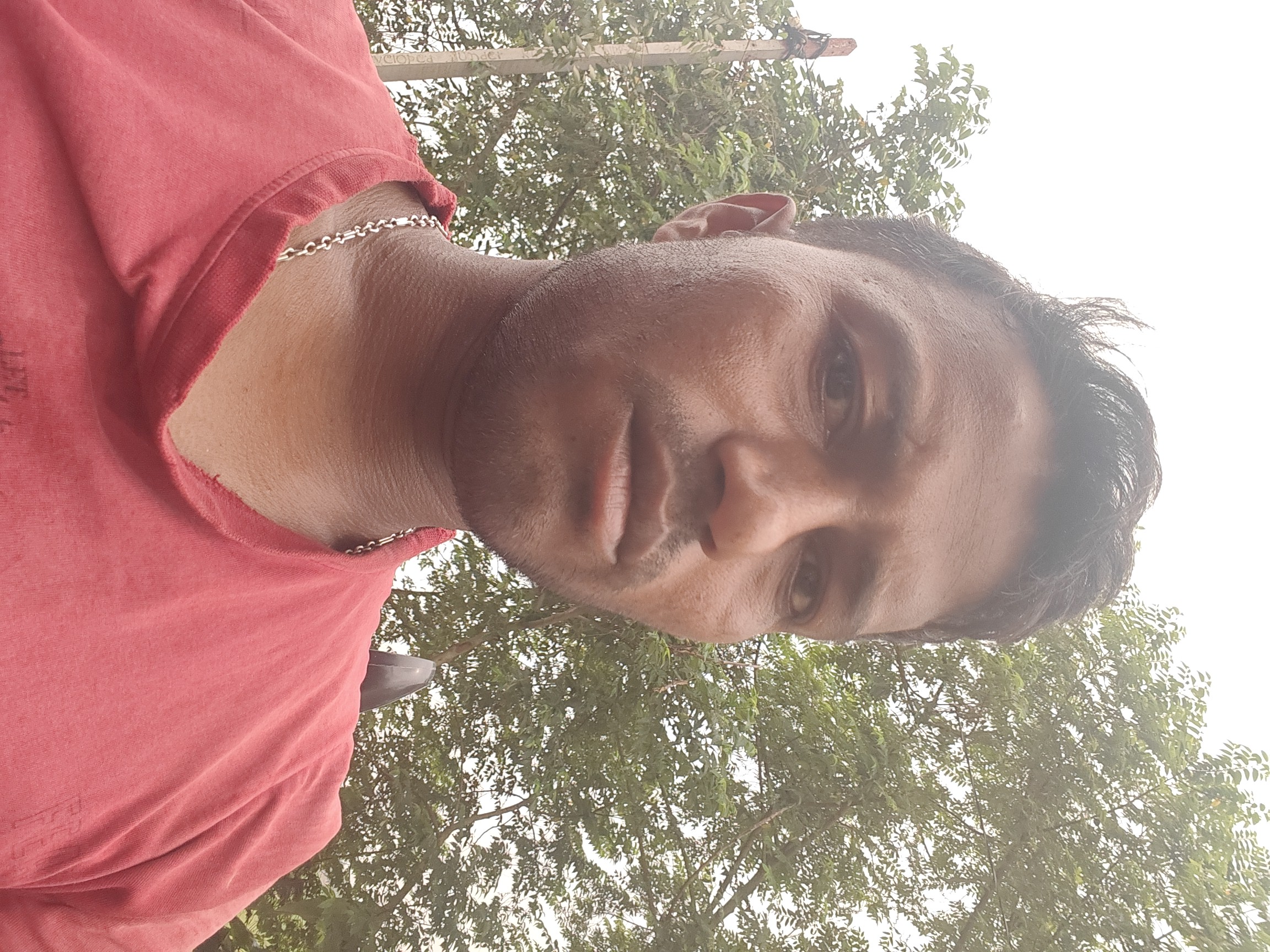 Shabbir alam