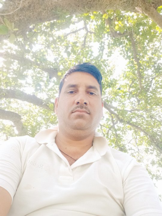 Pintutiwari Pintutiwari