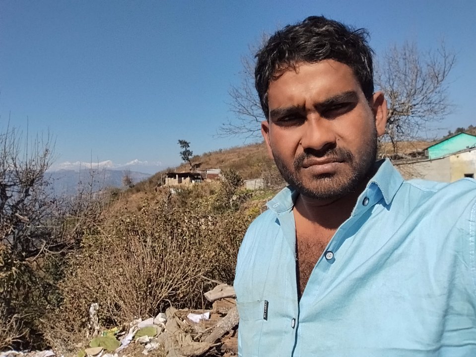Bhola