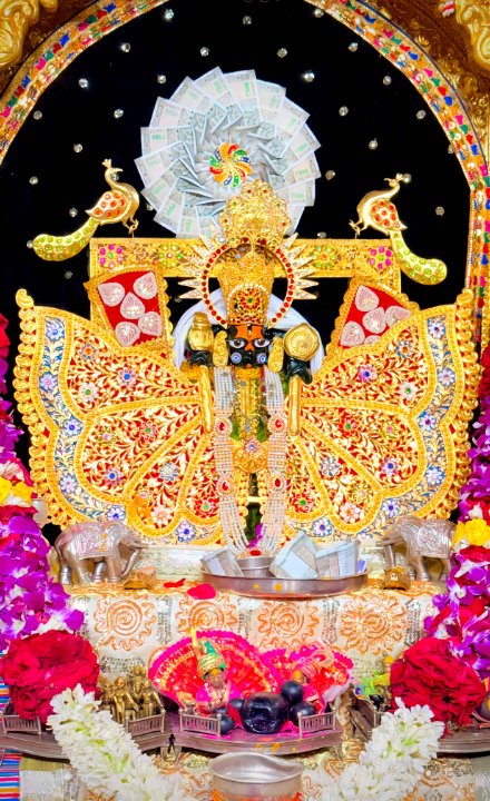 MP - Nandkishor Rathore