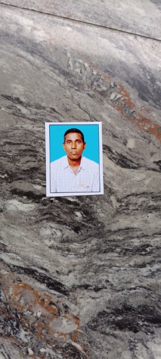 పెద్దింటి రామకృష్ణ