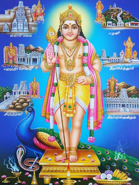 Rajasekar Sp