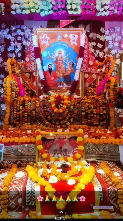 Pavan raikwar