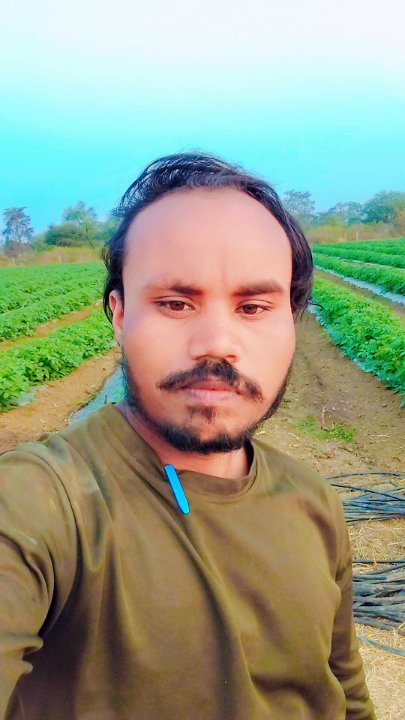 Bhola Nagarchi