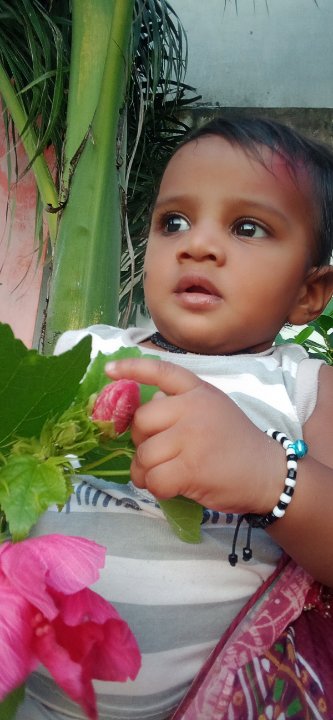 Nidhi Yadav