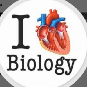 Hargovind उत्तर प्रदेश हिंदू शेर