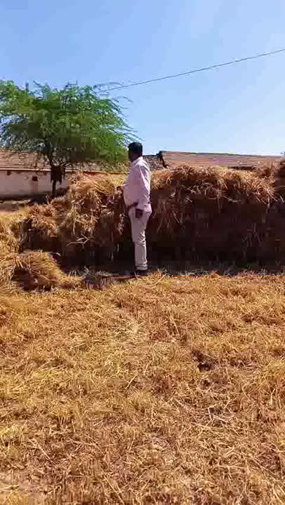 🌐 राष्ट्रीय अपडेट - ShareChat